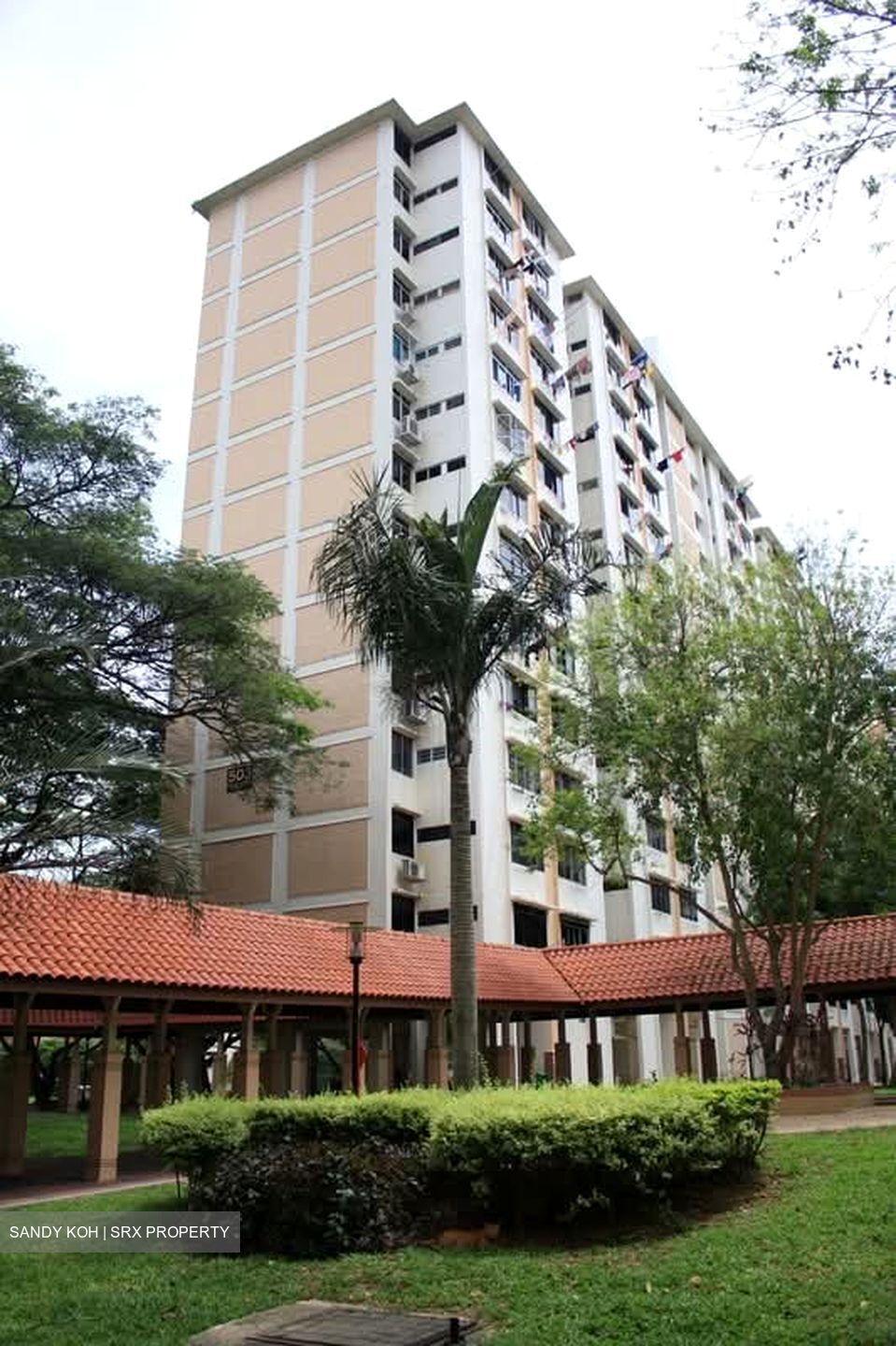 Blk 503 Bedok North Street 3 (Bedok), HDB 3 Rooms #633848801